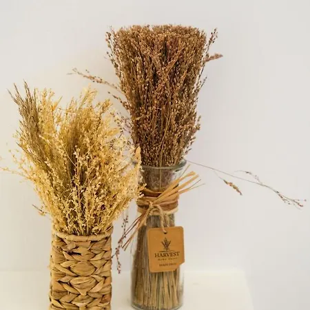 Trullo Natu - Private 펜션