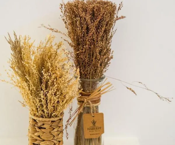 Trullo Natu - Private Сasa de vacaciones