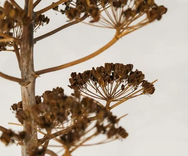 Trullo Natu - Private